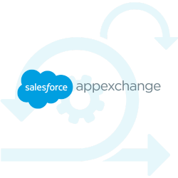 appexchange customize development